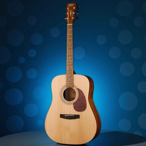 Акустическая гитара Cort Earth60-WBAG-OP
