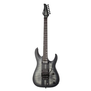 Электрогитара SCHECTER BANSHEE GT FR-S S.CB