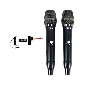 Радиосистема на два микрофона B&G Q2M