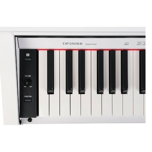 Пианино цифровое Medeli DP250RB-GW