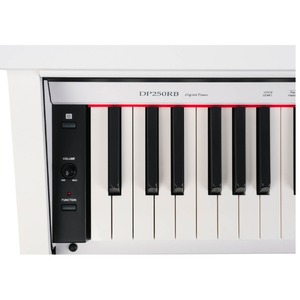 Пианино цифровое Medeli DP250RB-GW