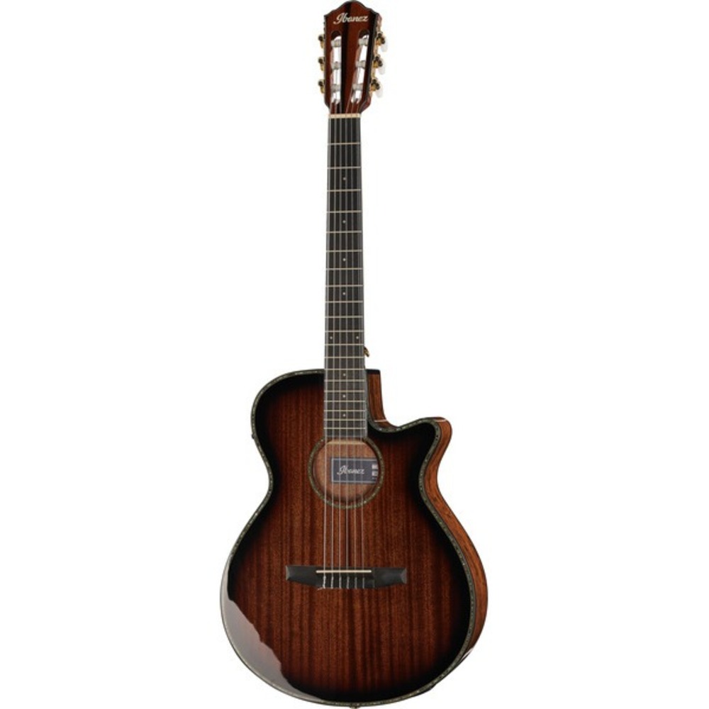 Акустическая гитара IBANEZ AEG74N-MHS