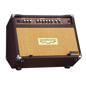 Комбоусилитель для акустической гитары CARLSBRO SHERWOOD 30R