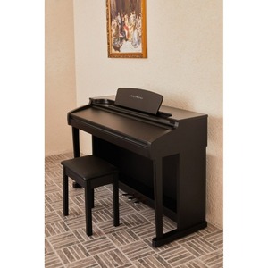 Пианино цифровое Sai Piano P-30GBK