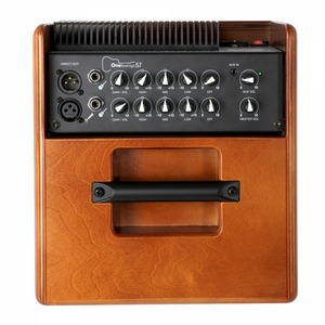 Комбоусилитель для акустической гитары Acus One ForStrings 5T WOOD