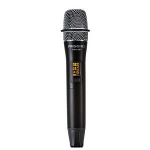 Радиосистема на два микрофона PASGAO PAW-920 Rx_2x PAH-801 TxH