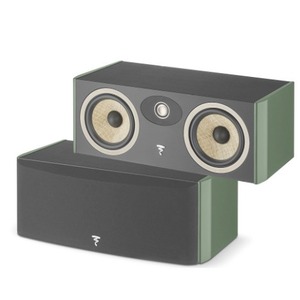 Центральный канал Focal Aria Evo X Center Moss Green High Gloss