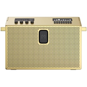 Портативная акустика Defunc Mondo BT Speaker Large Gold/Black