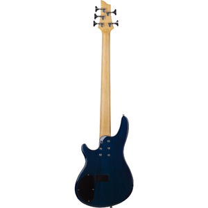 Бас-гитара SCHECTER C-5 PLUS OBB