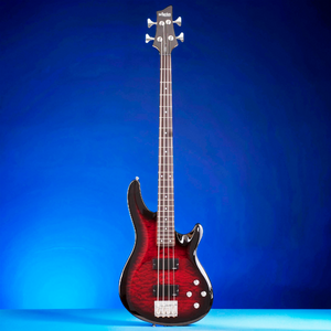 Бас-гитара SCHECTER C-4 Plus STCHB