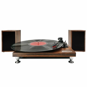 Проигрыватель винила Ritmix LP-280 Buk