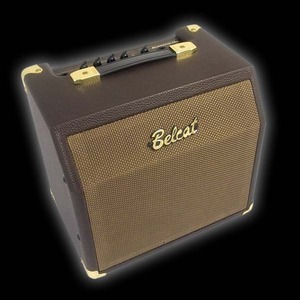 Комбоусилитель для акустической гитары Belcat Acoustic-25C