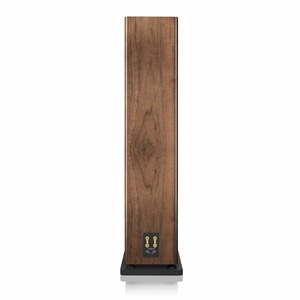 Напольная акустика CANTON Townus 100 Walnut