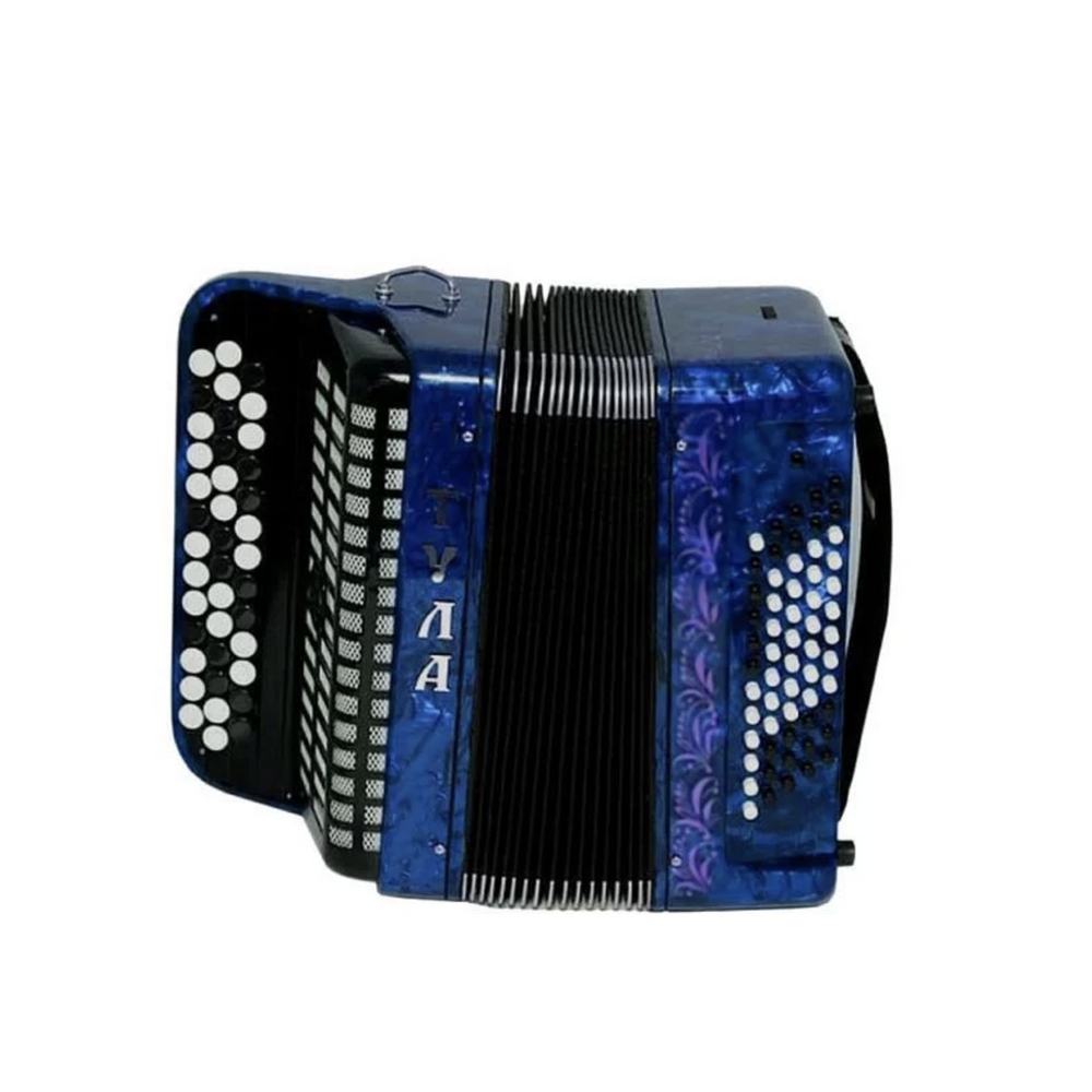 Ремень/чехол для аккордеона/баяна Тульская Гармонь BN-42-LB