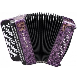 Ремень/чехол для аккордеона/баяна Тульская Гармонь BN-42-PR