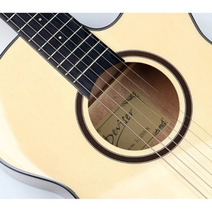 Акустическая гитара Deviser L-720A N