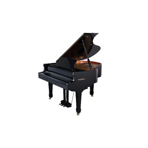 Рояль цифровой Medeli GP805