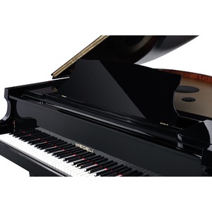 Рояль цифровой Medeli GP805