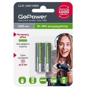Аккумулятор GoPower 00-00018319