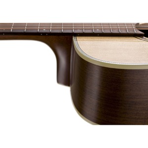 Акустическая гитара BATON ROUGE X34S/D-12