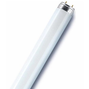 Лампа для светового оборудования OSRAM L36/765