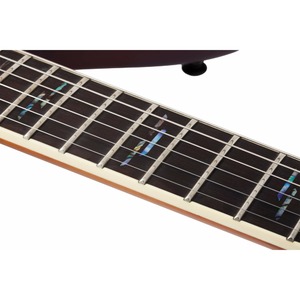 Электрогитара SCHECTER Avenger Exotic SPALTED MAPLE SNVB