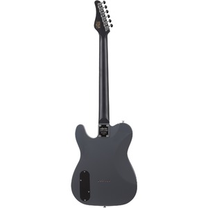 Электрогитара SCHECTER PT EX DORIAN GRAY