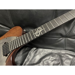 Электрогитара Solar Guitars T1.6D