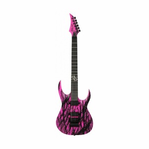Электрогитара Solar Guitars A2.6FRPN  Canibalismo