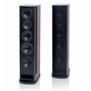 Напольная акустика T+A Criterion TCD 310 S Dark Walnut