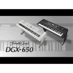 Цифровой синтезатор Yamaha DGX-650B