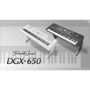 Цифровой синтезатор Yamaha DGX-650W