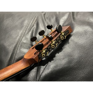 Классическая гитара Cort LUXE-NYLON-WCASE-BR