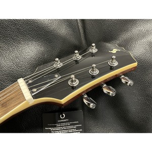 Электрогитара Les Paul Stagg SEL-DLX DC BST