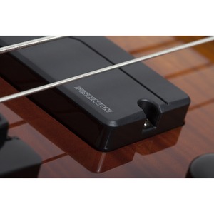 Бас-гитара SCHECTER SLS Elite-4 ATQFB