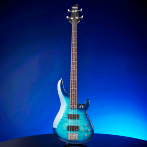 Бас-гитара SCHECTER C-4 Plus OBB