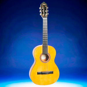 Классическая гитара Valencia VC203L