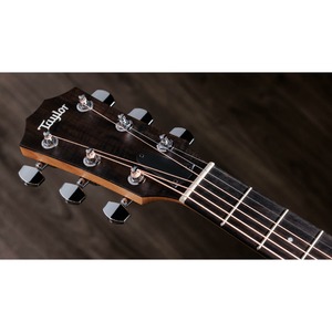 Электроакустическая гитара TAYLOR 117e