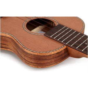 Укулеле TOM TUT-790TNM