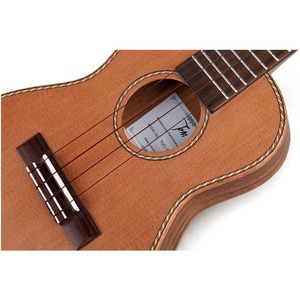 Укулеле TOM TUT-790TNM