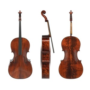 Виолончель Gewa Georg Walther Gold-brown