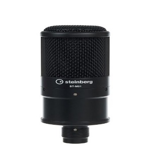 Комплект оборудования для звукозаписи Steinberg IXO22 Black RECORDING PACK