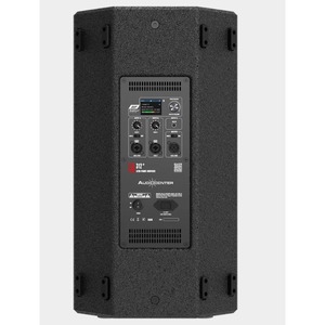 Активная акустическая система Audiocenter SA312+