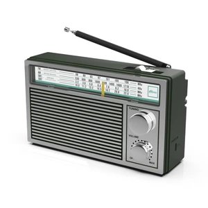 Радиоприемник Ritmix RPR-131