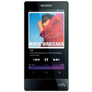 Цифровой плеер Hi-Fi Sony NWZ-F804 Black