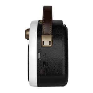 Радиоприемник Ritmix RPR-040 WHITE