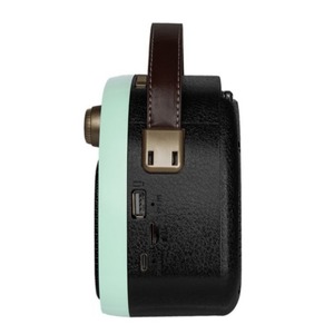 Радиоприемник Ritmix RPR-040 MINT