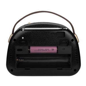 Радиоприемник Ritmix RPR-040 MINT