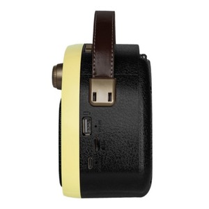 Радиоприемник Ritmix RPR-040 LEMON