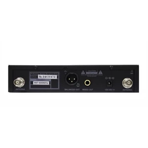 Радиосистема с ручным передатчиком Dreamsound TS-210